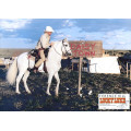 Lucky Luke (Terence Hill) 20 LCs