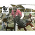 Rechte und die linke Hand des Teufels, die (Terence Hill, Bud Spencer) 6 Aushangfotos