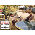 I'm for the Hippopotamus (Bud Spencer, Terence Hill) 24 Lobby Cards