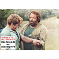 I'm for the Hippopotamus (Bud Spencer, Terence Hill) 24 Lobby Cards