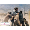 Zwei vom Affen gebissen (Terence Hill, Bud Spencer) 16 Aushangfotos
