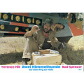 All the Way Boys (Bud Spencer, Terence Hill) 14 LCs