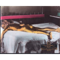 James Bond 007 - Goldfinger